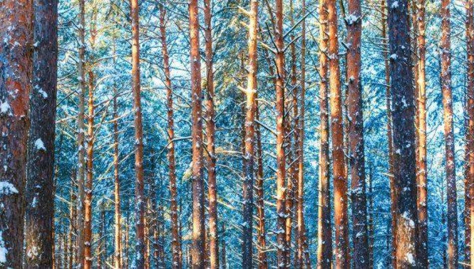 Winter is coming - 7 tips on how to survive wintertime in Poland! Winter is coming - 7 tips on how to survive wintertime in Poland!