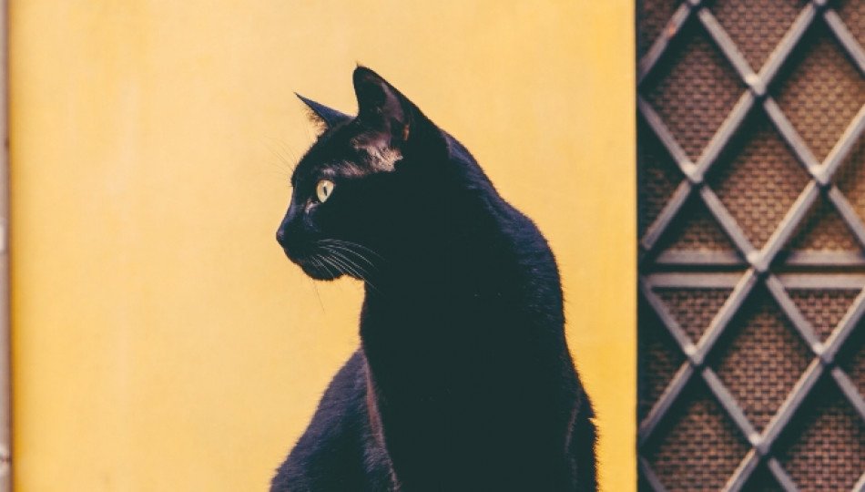 As luck would have it - Poland's oddest superstitions As luck would have it - Poland's oddest superstitions