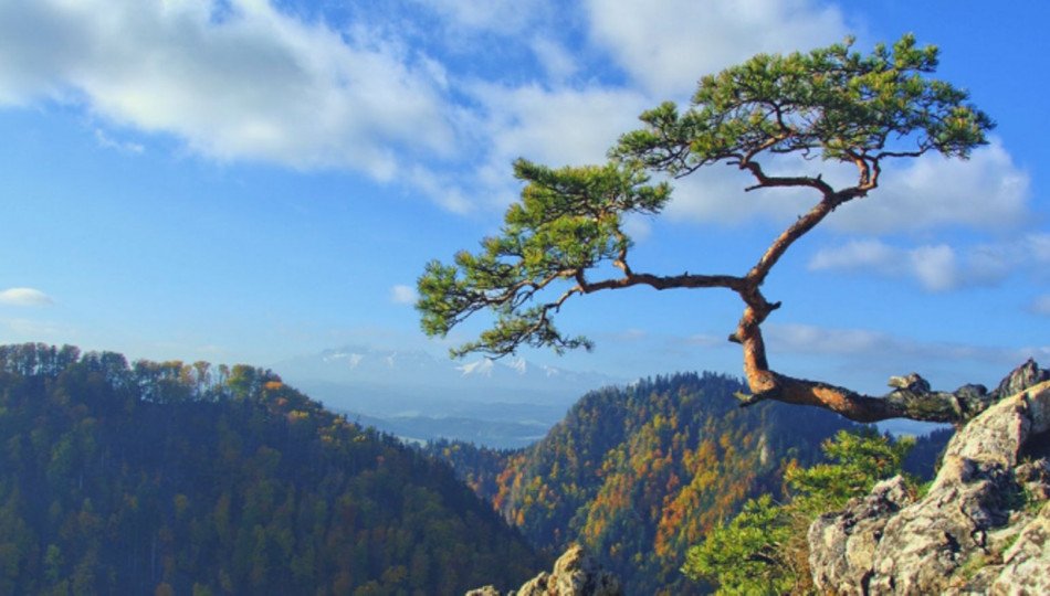 Summer Holidays in Poland - best destinations for active travellers Summer Holidays in Poland - best destinations for active travellers