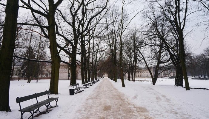 Winter in the city - how to enjoy February in Poland? Winter in the city - how to enjoy February in Poland?