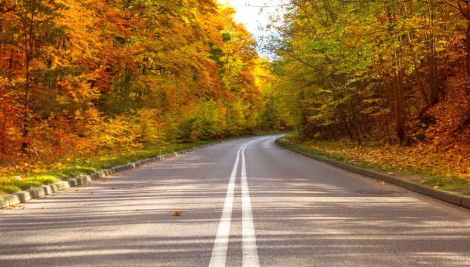 5 things to do in Poland this autumn 5 things to do in Poland this autumn