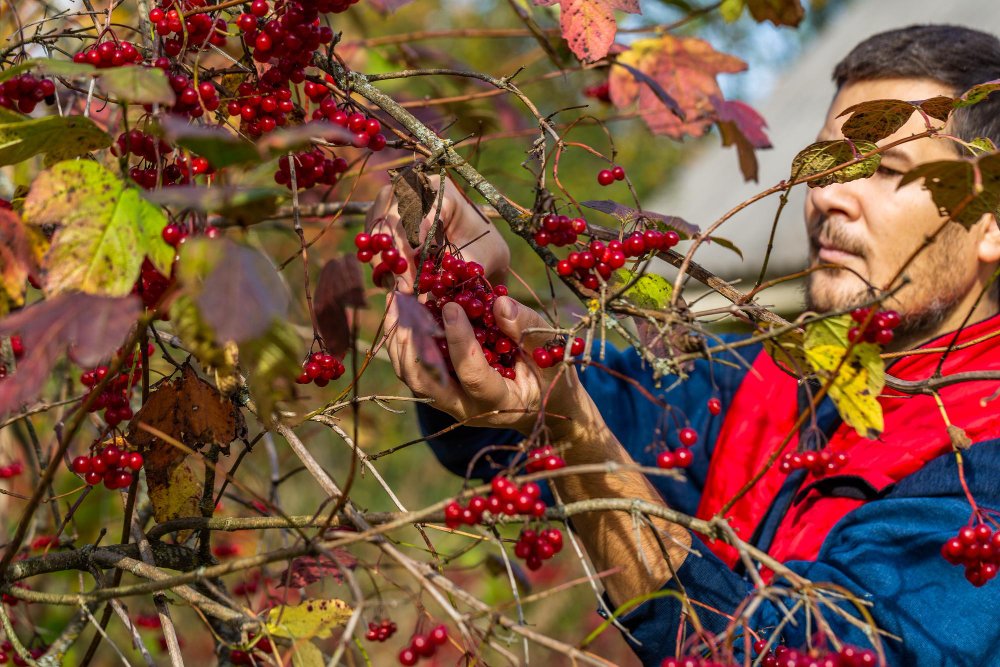 croatia-will-still-need-70000-seasonal-workers-by-2025.jpg